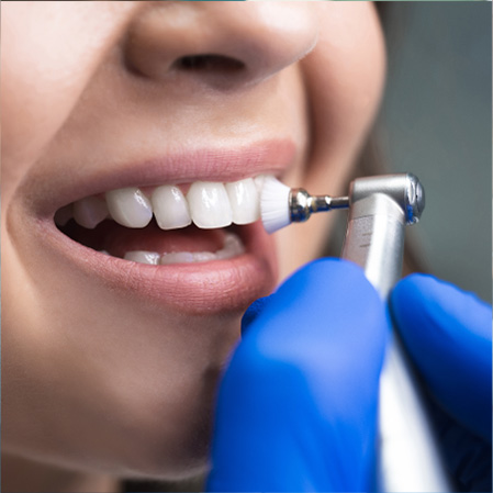 Dental Cleanings & Exams